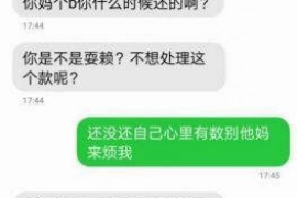 鄂尔多斯遇到恶意拖欠？专业追讨公司帮您解决烦恼